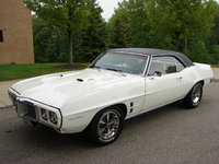 Firebird Firebird