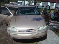 Lumina Lumina