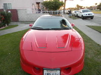 Firebird Firebird