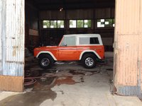 Bronco Bronco