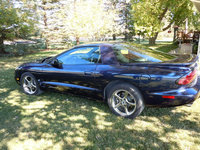 Firebird Firebird