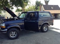 Bronco Bronco