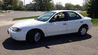 Cavalier Cavalier