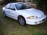 Cavalier Cavalier