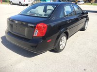 Forenza Forenza