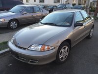 Cavalier Cavalier