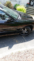 Firebird Firebird