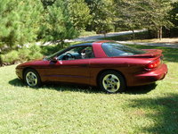 Firebird Firebird