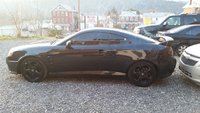Tiburon Tiburon