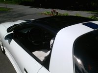 Firebird Firebird