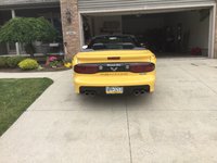 Firebird Firebird