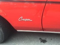 Cougar Cougar