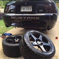 Mustang SVT Cobra Mustang SVT Cobra