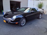 Thunderbird Thunderbird