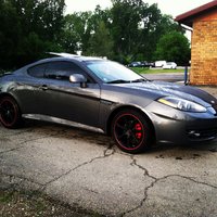 Tiburon Tiburon