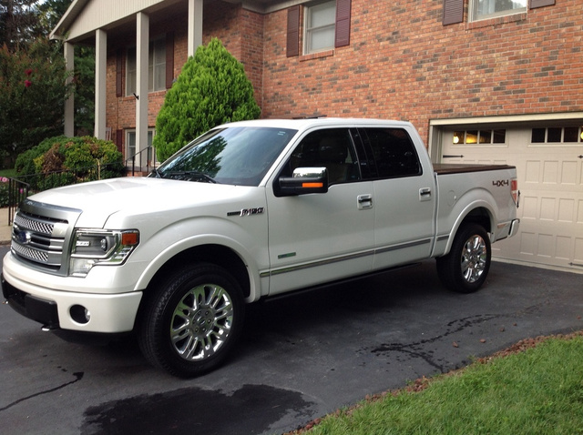 2014 Ford F-150 - Pictures - CarGurus