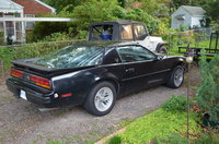 Firebird Firebird