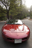 Firebird Firebird
