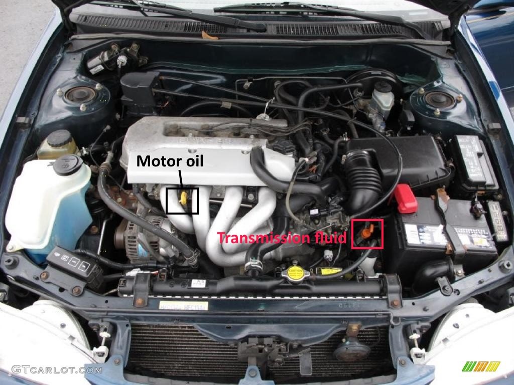 1998 toyota corolla engine oil