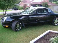 Thunderbird Thunderbird