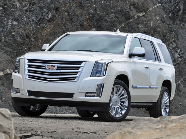 2015 Cadillac Escalade Pictures Cargurus