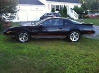 Firebird Firebird