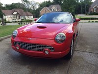 Thunderbird Thunderbird