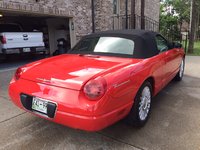 Thunderbird Thunderbird