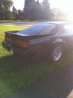 Firebird Firebird
