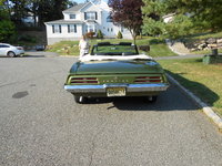 Firebird Firebird
