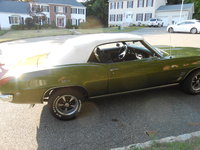 Firebird Firebird