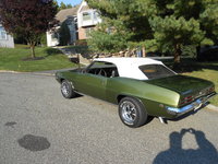 Firebird Firebird
