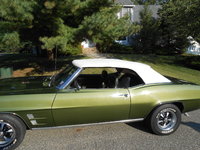 Firebird Firebird
