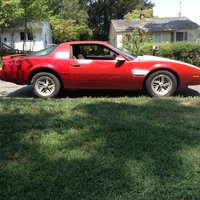 Firebird Firebird