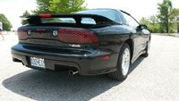 Firebird Firebird