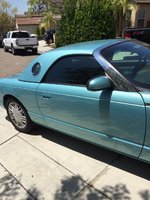 Thunderbird Thunderbird