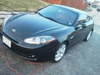 Tiburon Tiburon
