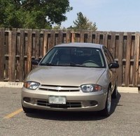 Cavalier Cavalier