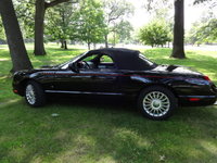 Thunderbird Thunderbird