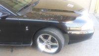 Mustang SVT Cobra Mustang SVT Cobra