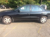 Cavalier Cavalier