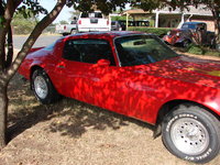 1977 Pontiac Firebird Overview