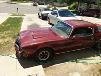 1976 Pontiac Firebird Overview