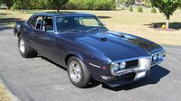 Firebird Firebird