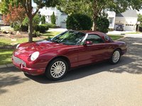 Thunderbird Thunderbird