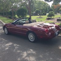 Thunderbird Thunderbird