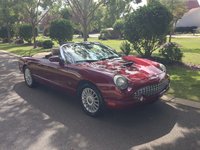 Thunderbird Thunderbird