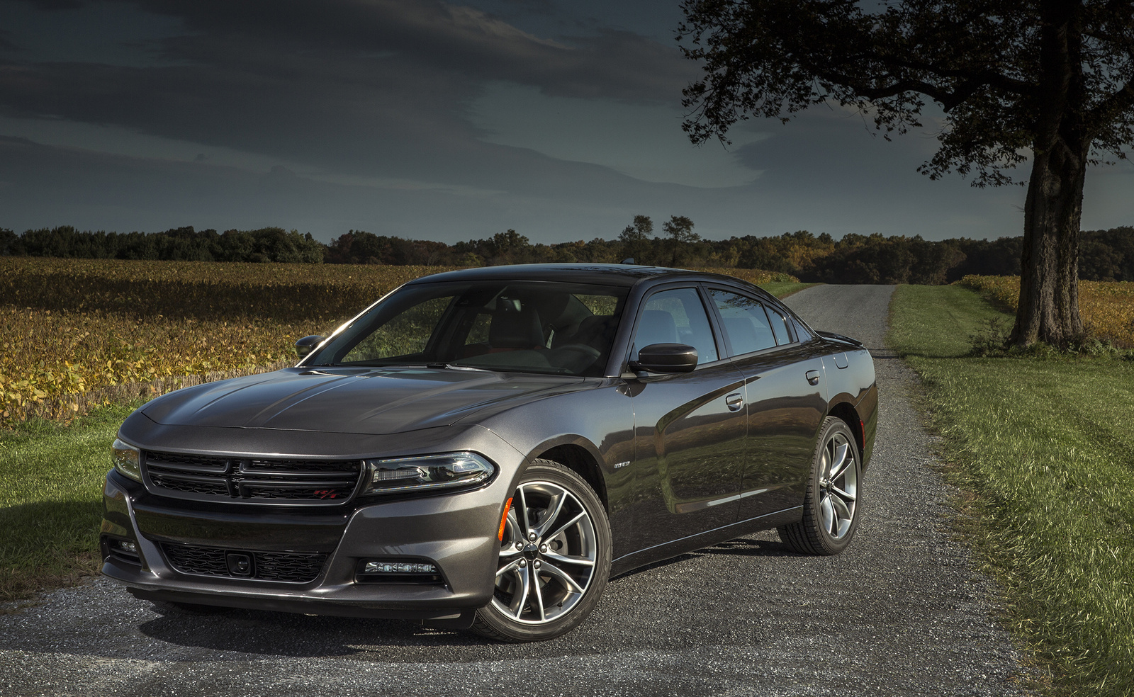 2016 Dodge Charger for Sale in your area  CarGurus