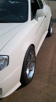 Tiburon Tiburon