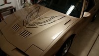 Firebird Firebird